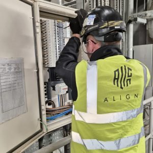 The Align Group